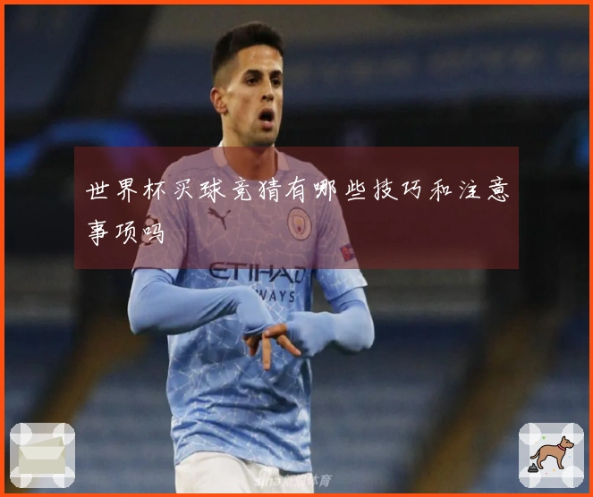 世界杯买球竞猜有哪些技巧和注意事项吗