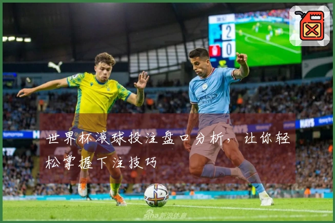世界杯滚球投注盘口分析，让你轻松掌握下注技巧