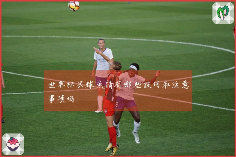 世界杯买球竞猜有哪些技巧和注意事项吗